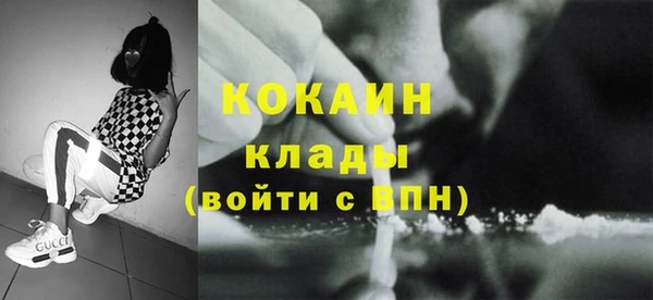 мет Няндома