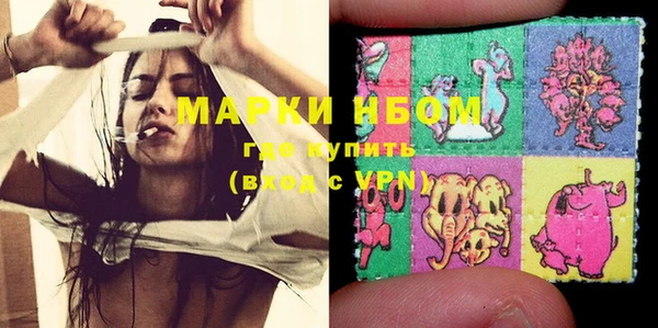 мет Няндома